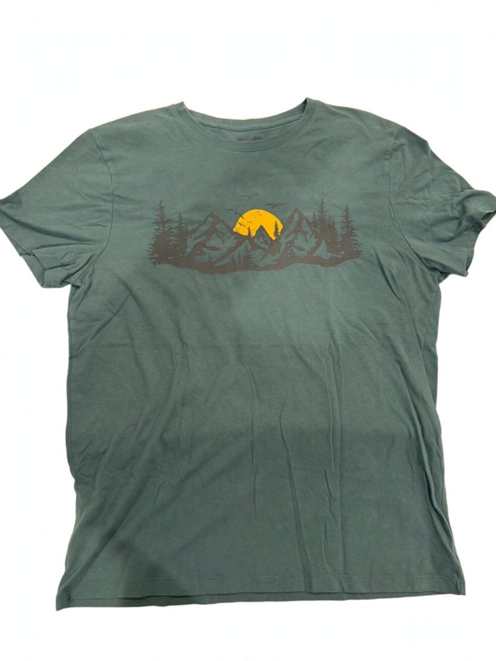 Goodfellow & Co Mountain Graphic T-Shirt Mens Large Dusty Teal